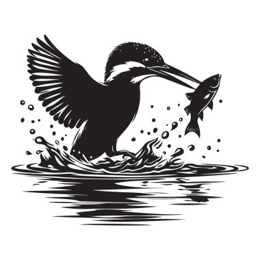 Siluet Kingfisher Suyla Balık Yakalıyor Vektör Sanatı Sıçrıyor