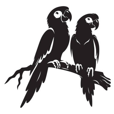 Siyah papağan çifti zarif tasarım siluet vektör çiziminde