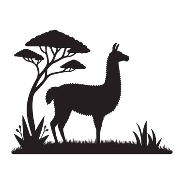 Llama Silueti Grassy Alan Vektörü İllüstrasyon Tasarımı