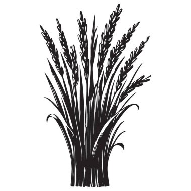 Tarım ve gıda temaları için buğday hasadı silueti vektör çizimi