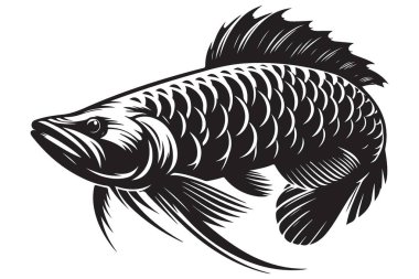 Siluet Arowana Balığı Egzotik Su Hayvanları Vektör İllüstrasyonu