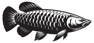 Akvaryumcular için Zarif Arowana Balık Silueti Vektör İllüstrasyonu