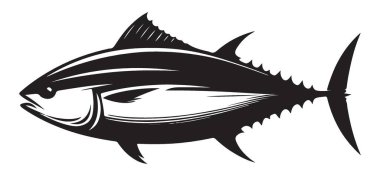 Ayrıntılı Ton Balığı Çizimi Deniz Ürünleri Deniz Yaşamı Biyolojisi Tasarımı