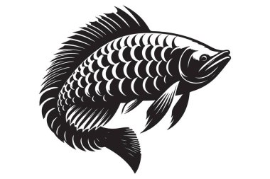 Arowana Balık Silueti Detaylı Vektör Resimleri Su Yaşamı