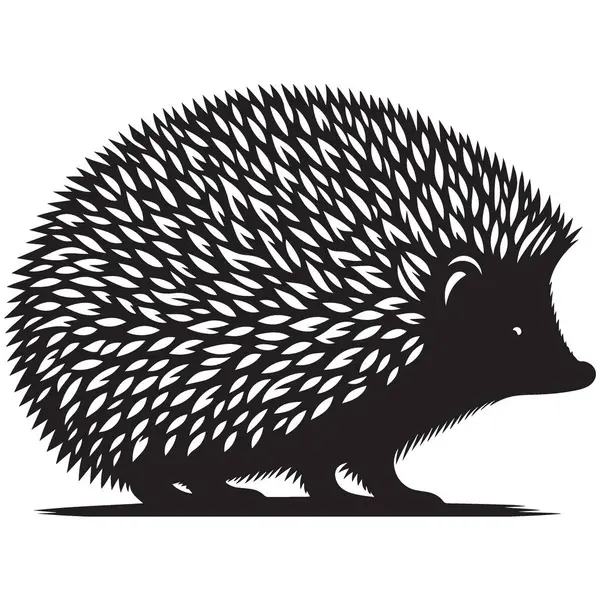 Siluet Kirpi Dikenli Memeli Vahşi Yaşam Vektör Tasarımı Çizimi