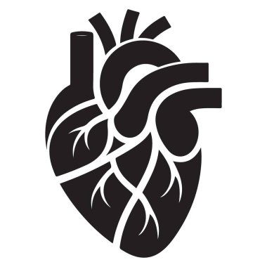 Tıbbi Tasarımlar için Anatomik Kalp Silueti Çizim Vektörü
