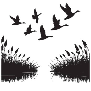 Siluet Ördekler Bataklıklar Üzerinde Uçuyor Vahşi Yaşam Çizimleri