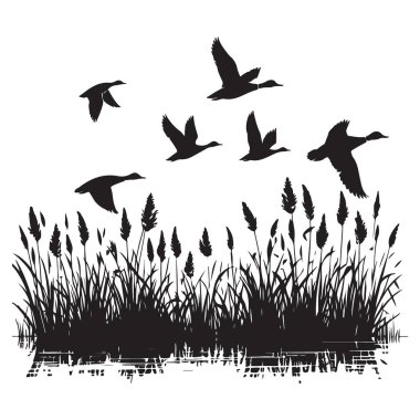 Siluet Uçan Ördekler Bataklık Üzerinde Doğayı ve Yaban Hayatı Sunar