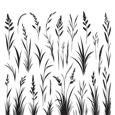 Çeşitli Vahşi Çimen Vektörü Siluetleri Doğaya İlham Veren Tasarımlar İçin Ayarlandı