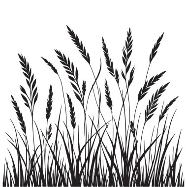 Doğal Peyzaj Tasarımları İçin Yüksek Vahşi Çimen Silüet Vektörü