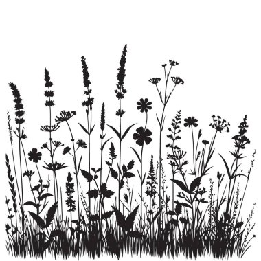 Bitkisel bir illüstrasyon sanatında karmaşık siluet kır çiçekleri ve otlar