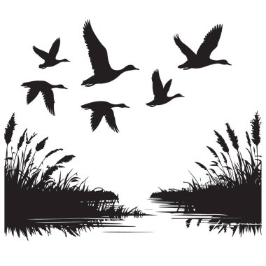Uçan Ördekler Bataklıklar Üzerinde Uçan Ördekler Siluet Vektör Çizim Sanatı