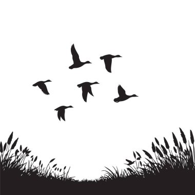 Çimenlerin Üzerinde Uçan Kazların Silueti Vektör Sanat Çizimi