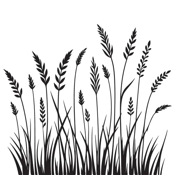 Yaratıcı Projeler için Güzel Çimen Bitkisi Silüet Vektör Sanatı