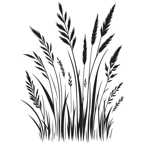 Grafik Tasarım için Ayrıntılı Çimen Sapığı Silueti Resim ResmiComment