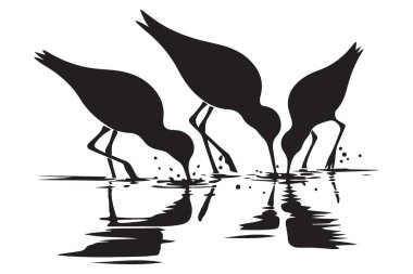 Suların Kıyısında Yiyişen Shorebirds 'ün Siluet Çizimi