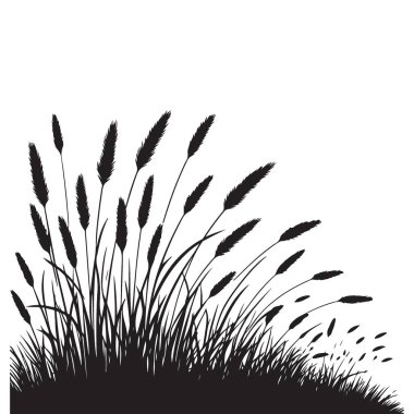 Vahşi Çimen Yığını Görüntü Vektörü Doğa Kavramının Silueti