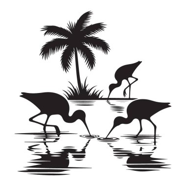 Ibis kuşlarının su vektörü grafik çiziminde silueti