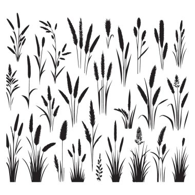 Çeşitli Vahşi Çimenler Siluet Resimlendirme Vektör Koleksiyonu Grafik Tasarımı
