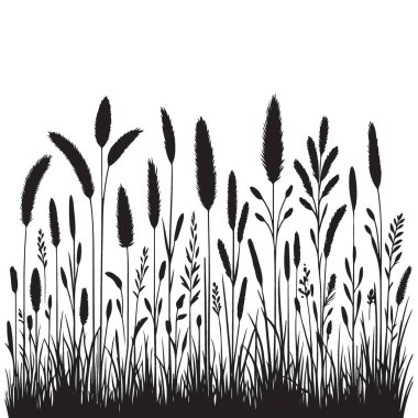 Vahşi çayır bitkilerinin ve otların narin silueti tasarımı