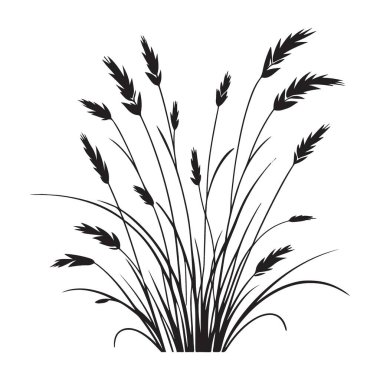 Uzun Çimen Çizimi Vahşi Doğanın Güzelliğinin Silüeti