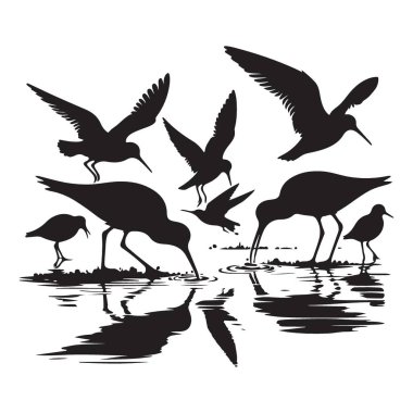 Shorebirds Siluet Vektör İlülasyonu Su Kenarı Tasarımı Besleme