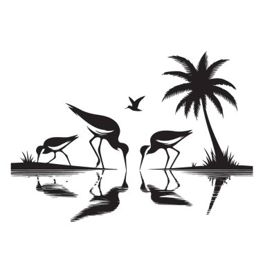 Shorebirds Yiyecek Arayan Siluet Sahnesi Yansıyan Palmiye Ağacı Çizimi