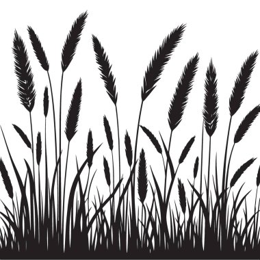 Doğa Tasarımı için Alan Çimenleri Vektörünün Silüeti