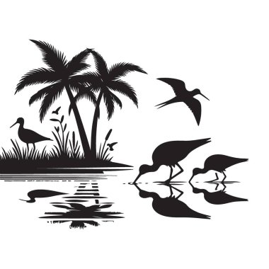 Kıyı Vahşi Hayatı Siluet Vektör Sahnesi Kuşlar ve Palmiyelerle