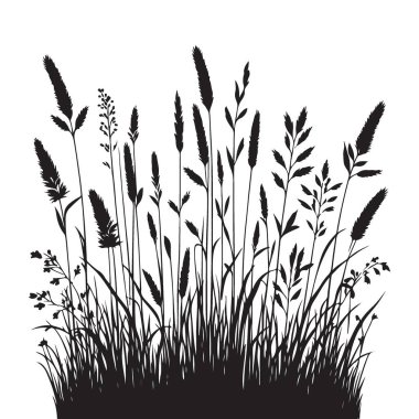 Doğanın İlham Verdiği Tasarım Projeleri için Zarif Çimenler Silueti Çizimi