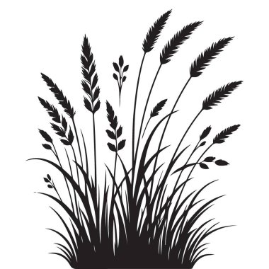 Siluet Çimenleri İllüstrasyonu Doğal Çiçek Elementleri Alanı