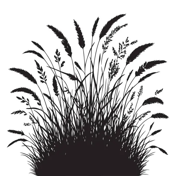 Uzun Bitkiler ve Otların Siyah Çimen Silüeti Vektör ResmiComment
