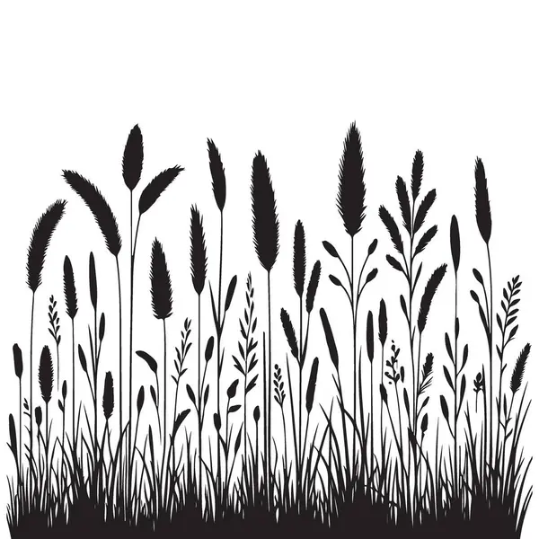 Vahşi çayır bitkilerinin ve otların narin silueti tasarımı