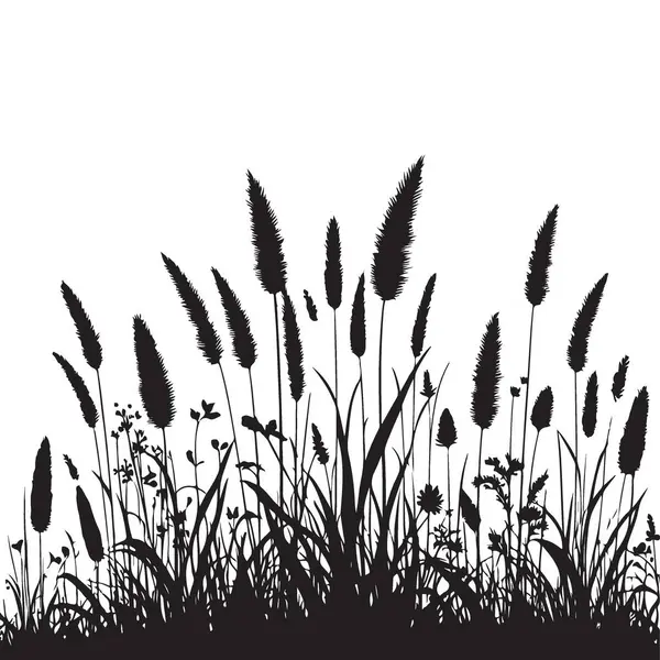 Vahşi Çimen Silüeti Doğanın İlham Verdiği Tasarımlar İçin Vektör İllüstrasyonu