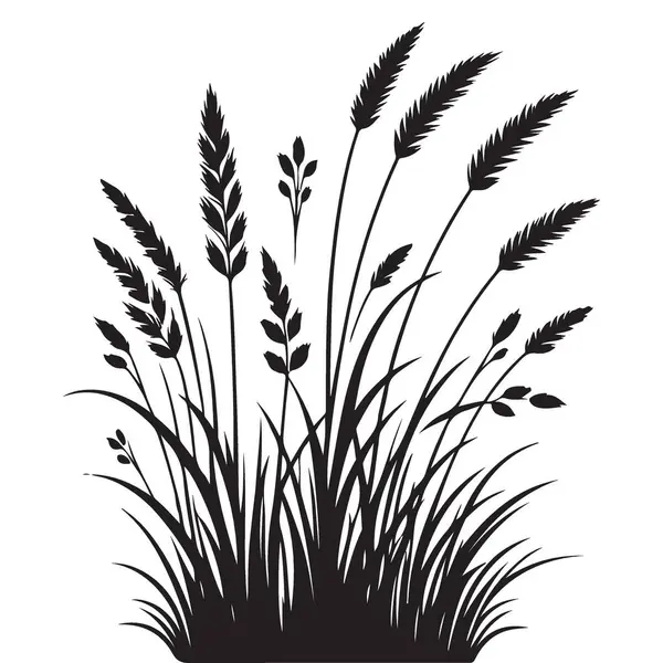 Siluet Çimenleri İllüstrasyonu Doğal Çiçek Elementleri Alanı