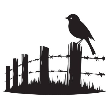 Dikenli Tel Üzerinde Siluet Kuşu Kırsal Özgürlük ve Doğa 'nın İllüstrasyonu
