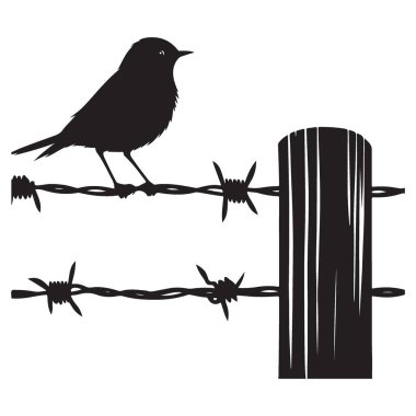 Dikenli Tel Çitin Üzerinde Siluet Kuşu Kırsal Manzara Sonrası