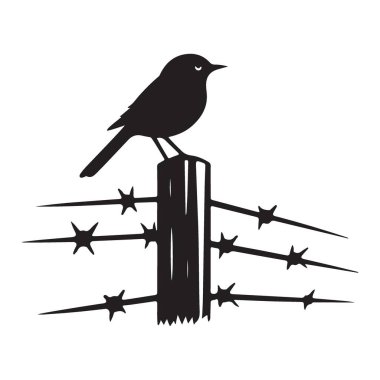 Dikenli Tel Tel Tel Güvenlikteki Siluet Kuşu Kırsal Sahne