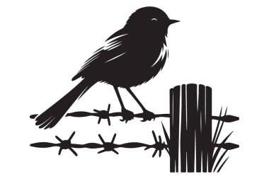 Dikenli tel siluet vektörüyle çitin üzerinde oturan küçük kuş