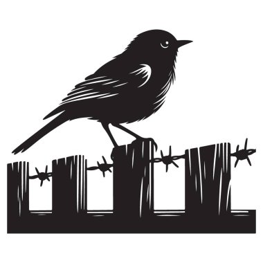 Dikenli Tel Çit Vektörü Resimlerindeki Kuşun Silueti