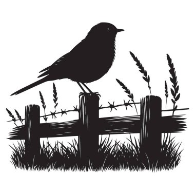 Siluet Kuş Çitin üzerine tünemiş Çim Vektörü Resimleriyle