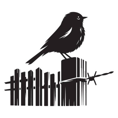 Zarif Siluet Kuş Dikenli Tel Çizimi ile Çitin üstüne tünedi