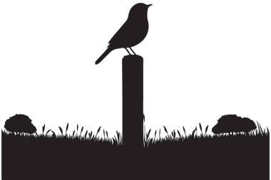 Siyah Kuş Silueti Doğayı Sevenler İçin Vector İllüstrasyonunda