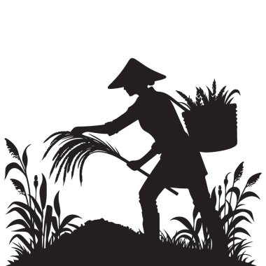 Siluet Pirinç Hasadı Tarım Geleneği ve Kültür Mirasını Yansıtıyor