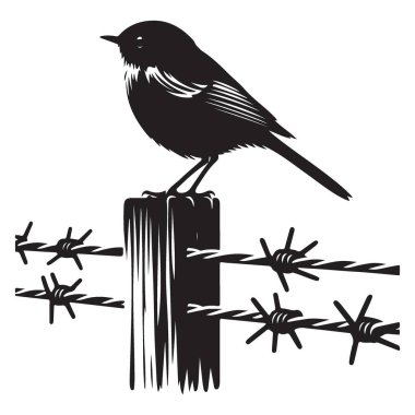 Dikenli Tel Üzerinde Kuş Siluet Vektör Özgürlüğe Karşı İllüzyon