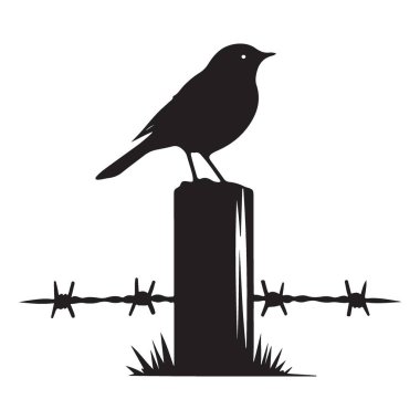 Çiftlik Sahnesindeki Kuşlar Çit Üzerindeki Siluet