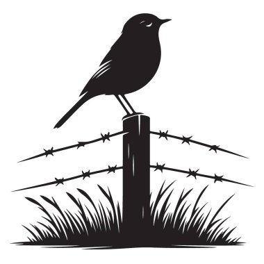 Dikenli tele tünemiş bir kuşun silueti
