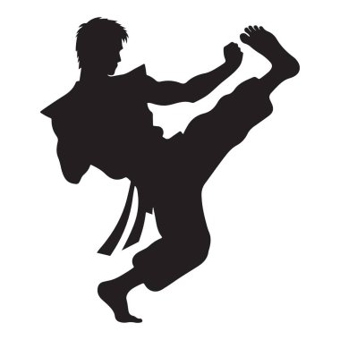 Bir dövüş sanatçısının silueti yüksek bir tekme atıyor.