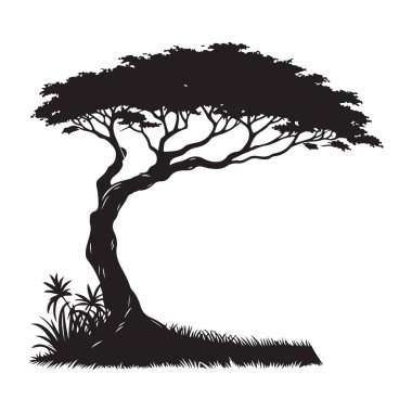 Siluet Akasya Ağacı Vektör Resimleri Tropikal Peyzaj Tasarımı