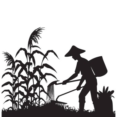 Tarlada ekinlerle çalışan çiftçi silueti.